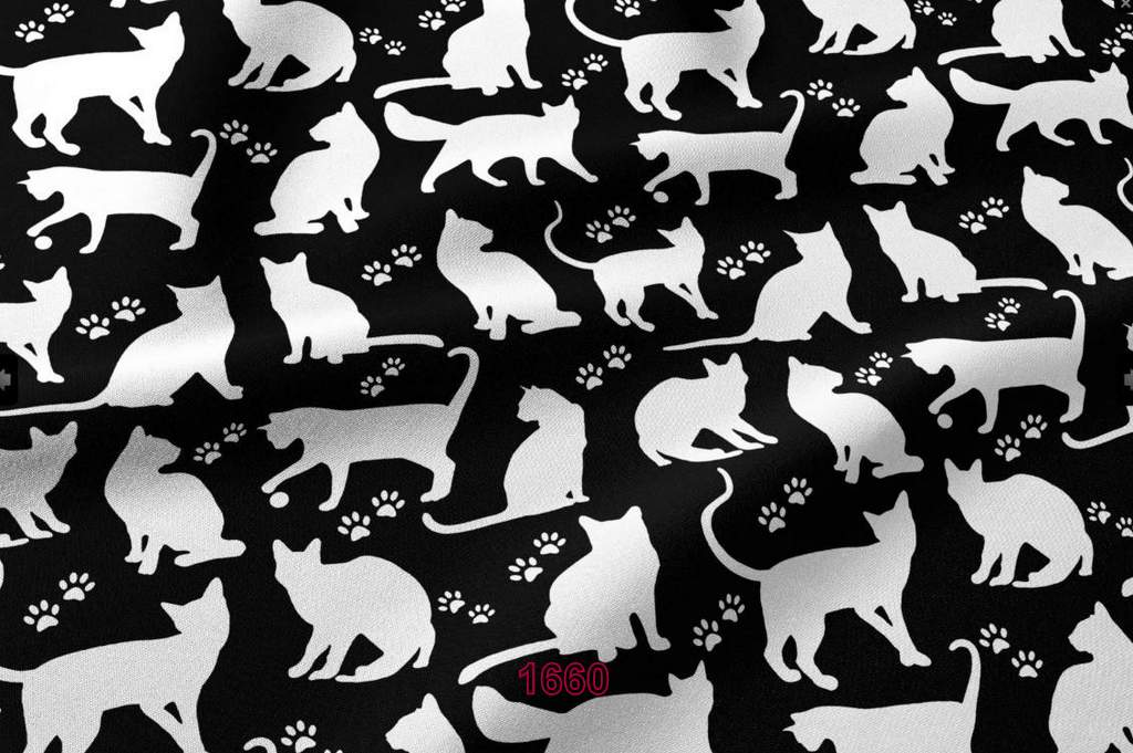 Fekete alapon fehér cicák