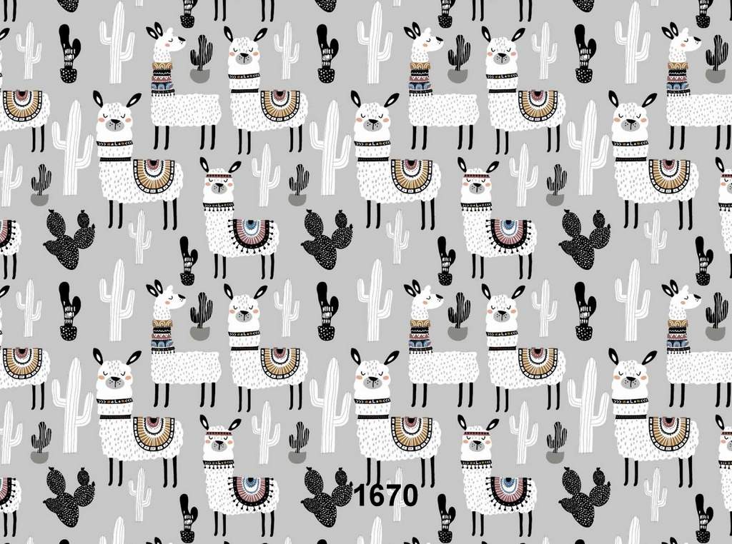 Láma a kaktuszok között